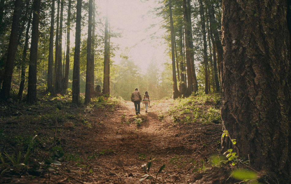 Better Place Forests Offers Sustainable Alternative to Cemeteries