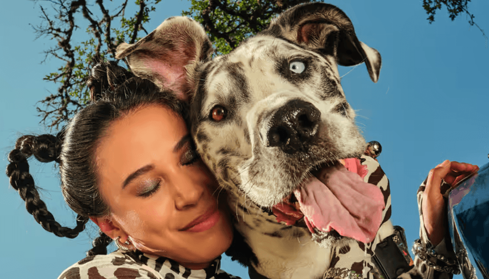 Modern Animal’s ‘What’s Next’ With Chewy